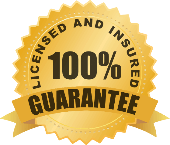 Licensed and insured
